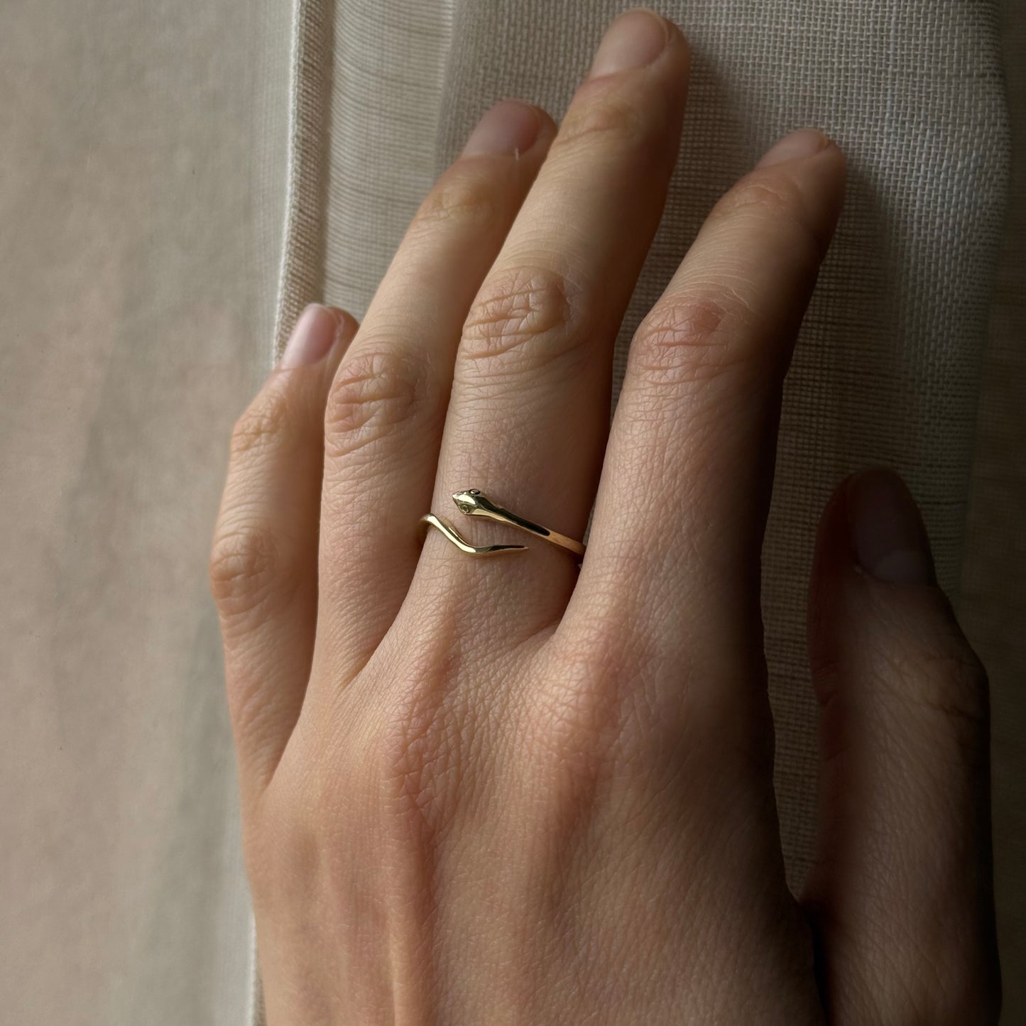 Anello snake minimal