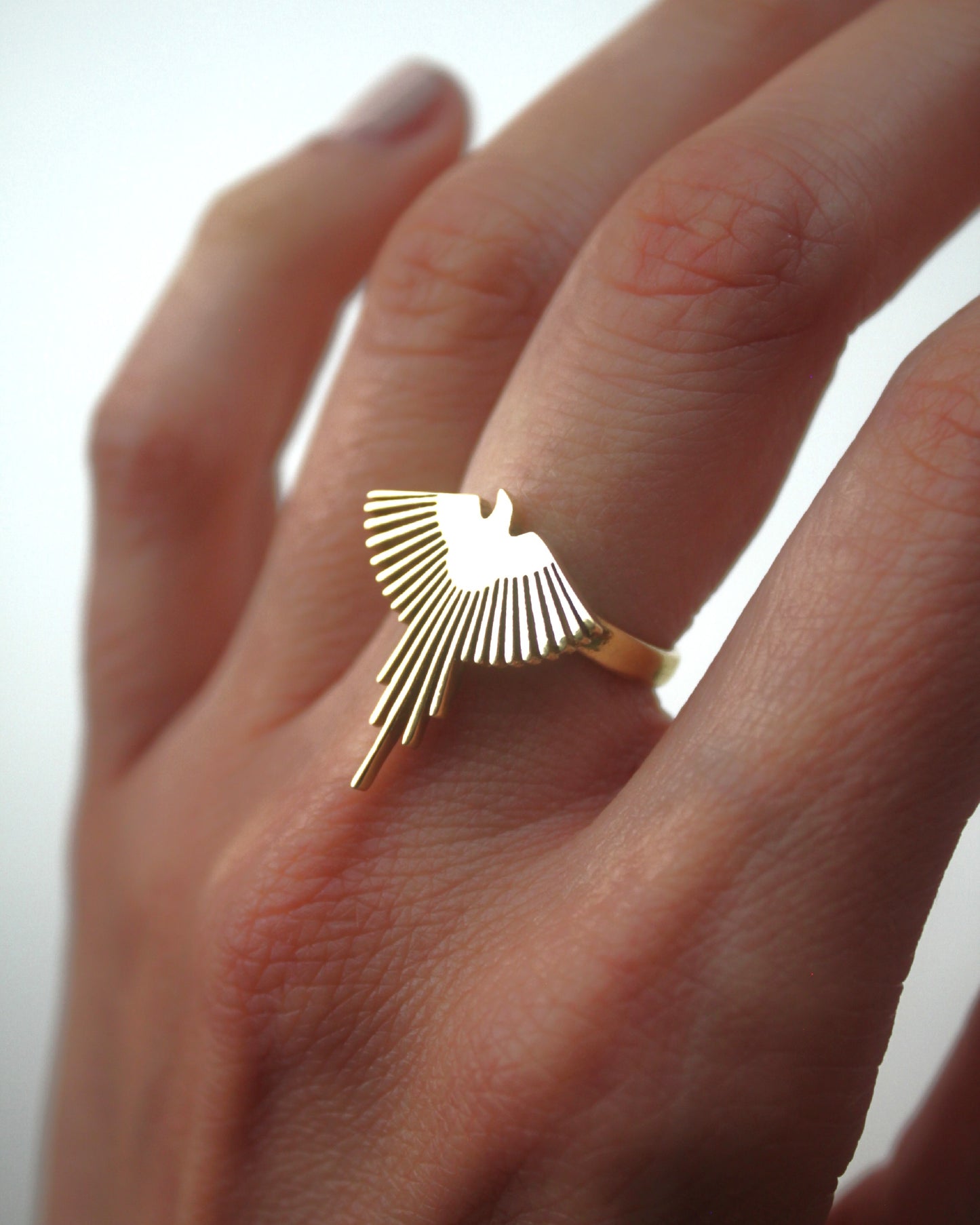 Anello Fenice