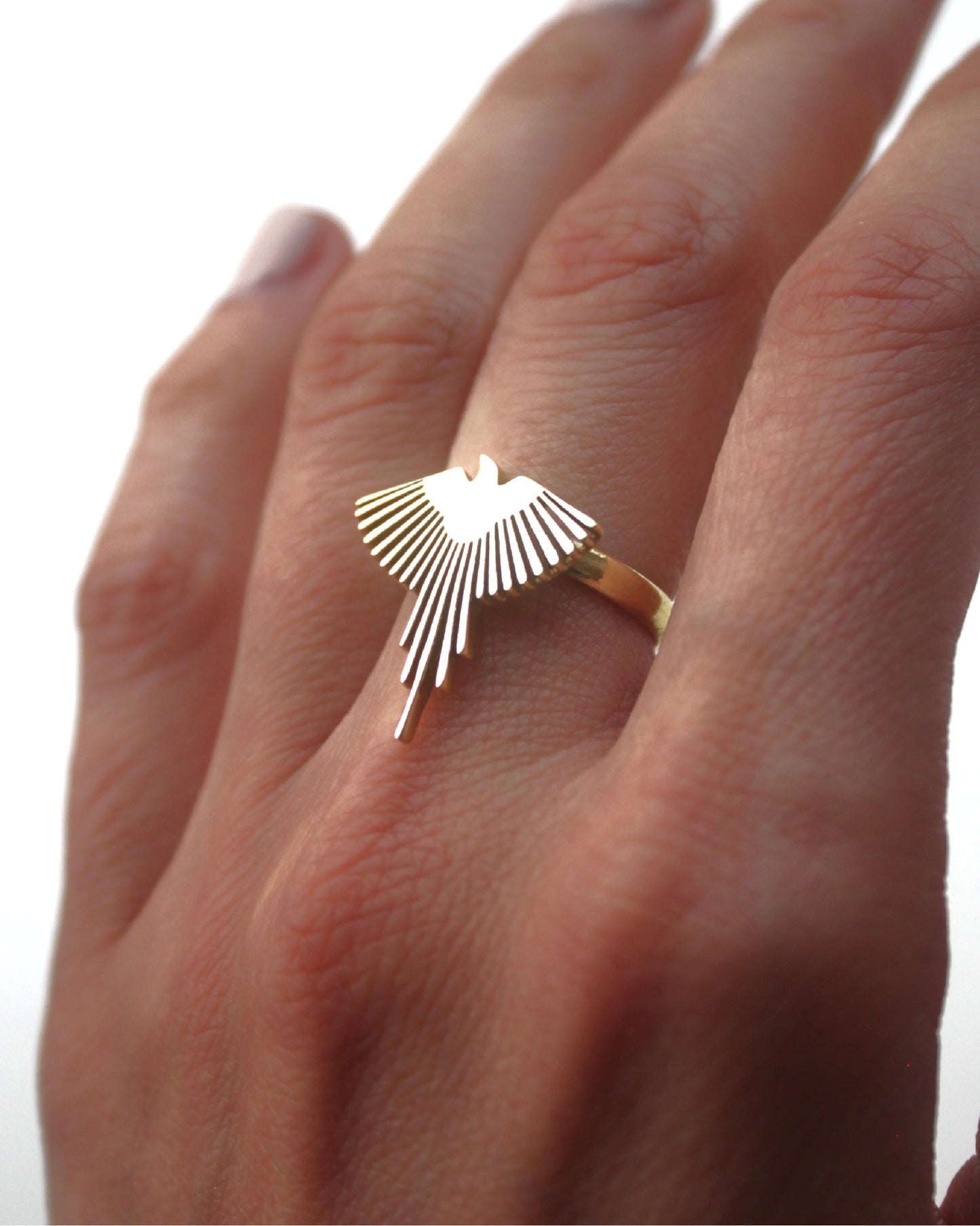 Anello Fenice