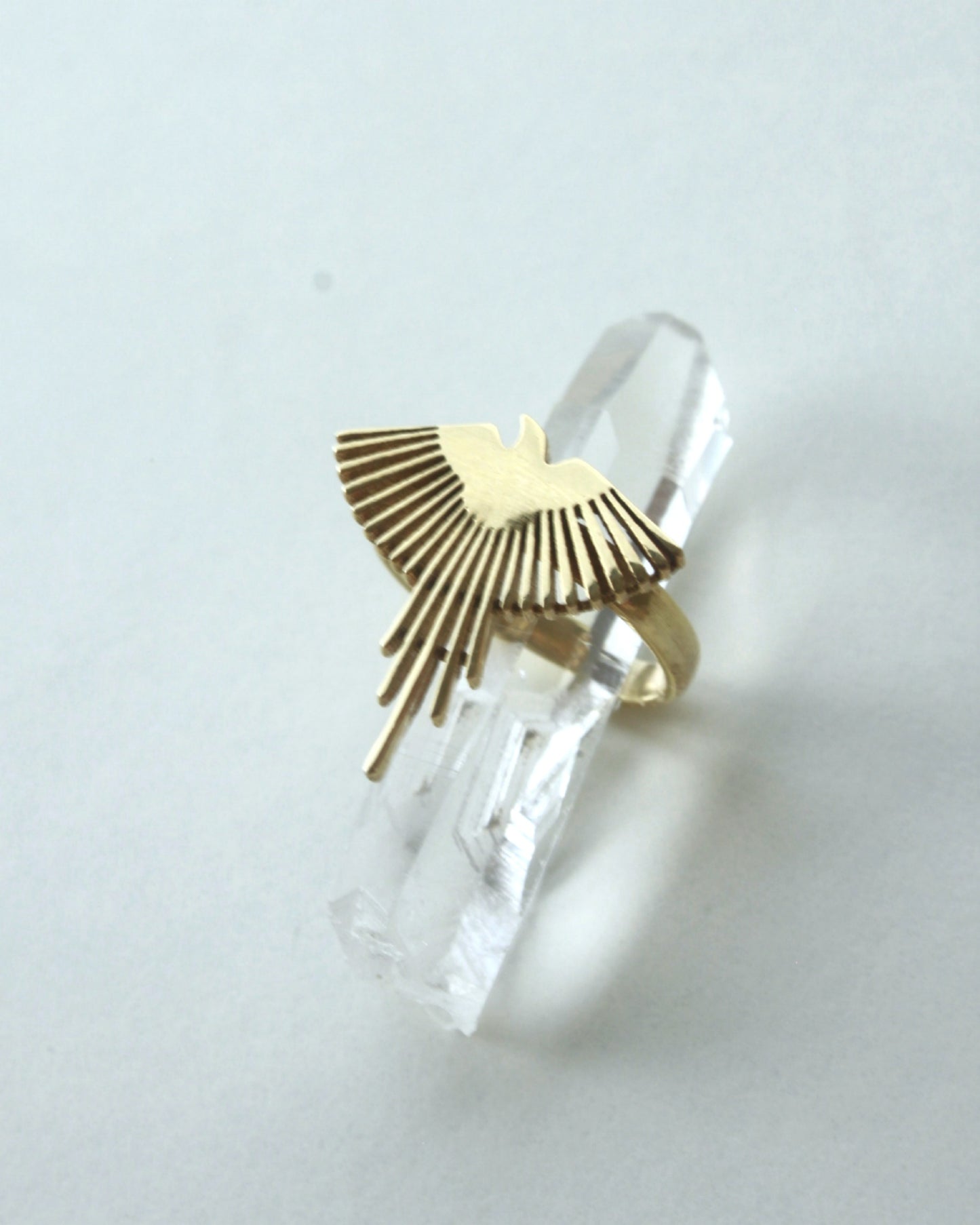 Anello Fenice