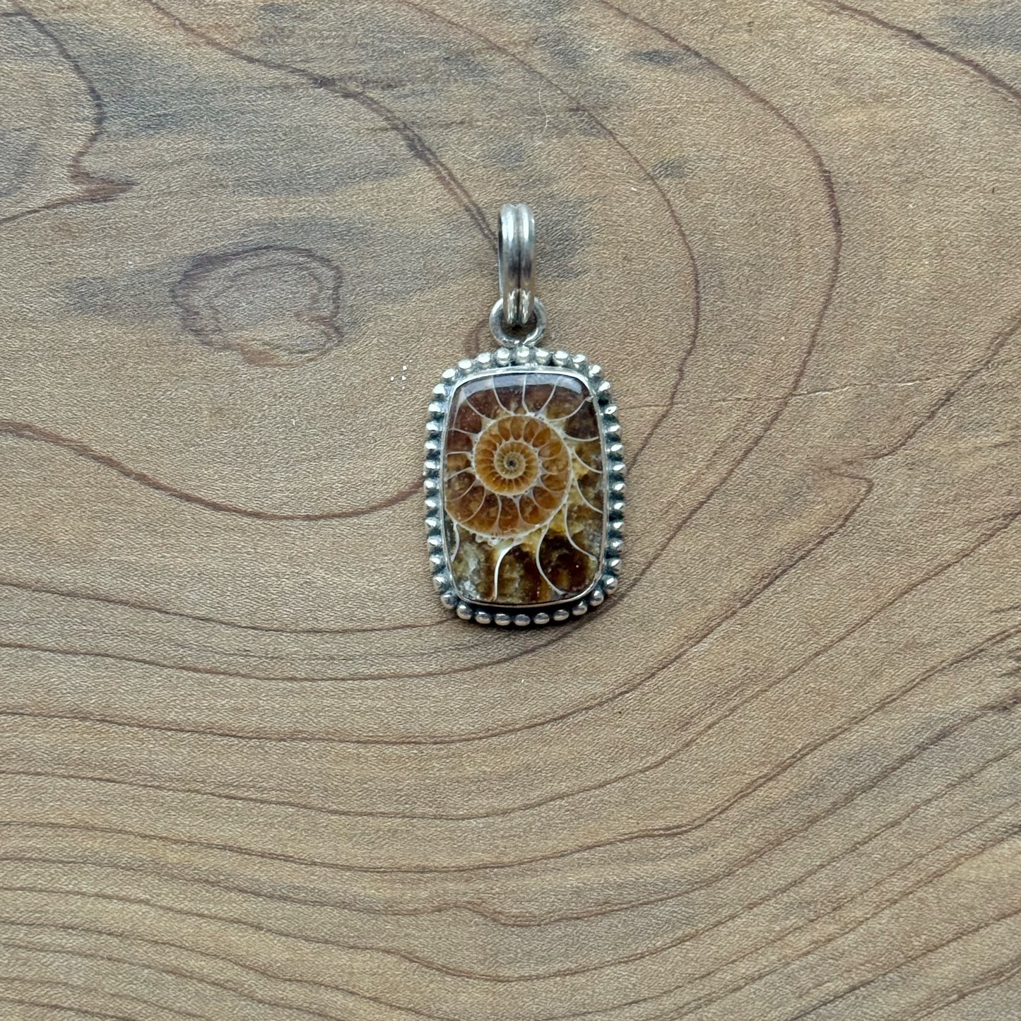Ciondolo Ammonite 1