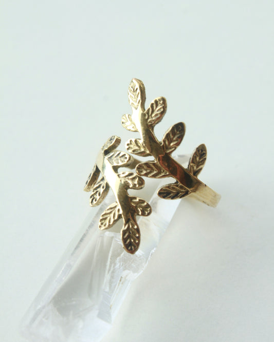 Anello Gelsomino